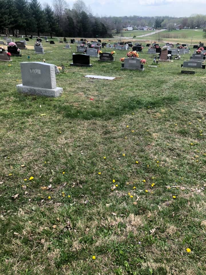 Well-maintained cemetery grounds in spring with colourful flowers among historic headstones
